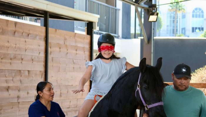 WhatsApp Image 2026-04-15 at 2.31.22 PM